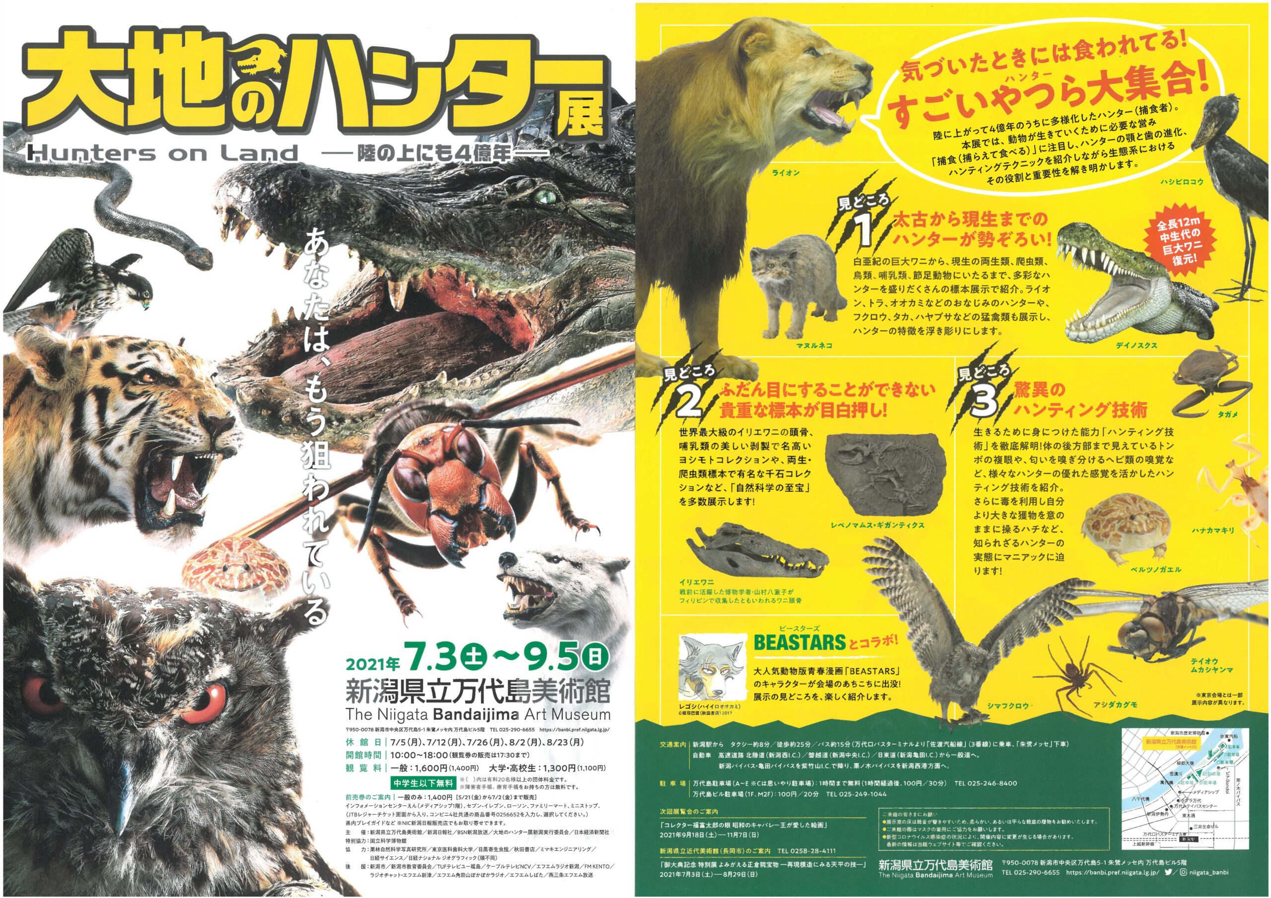大地のハンター展 前売券発売中です Nic黒埼南 新潟日報販売店 大地のハンター展 前売券発売中です Nic黒埼南 新潟日報販売店